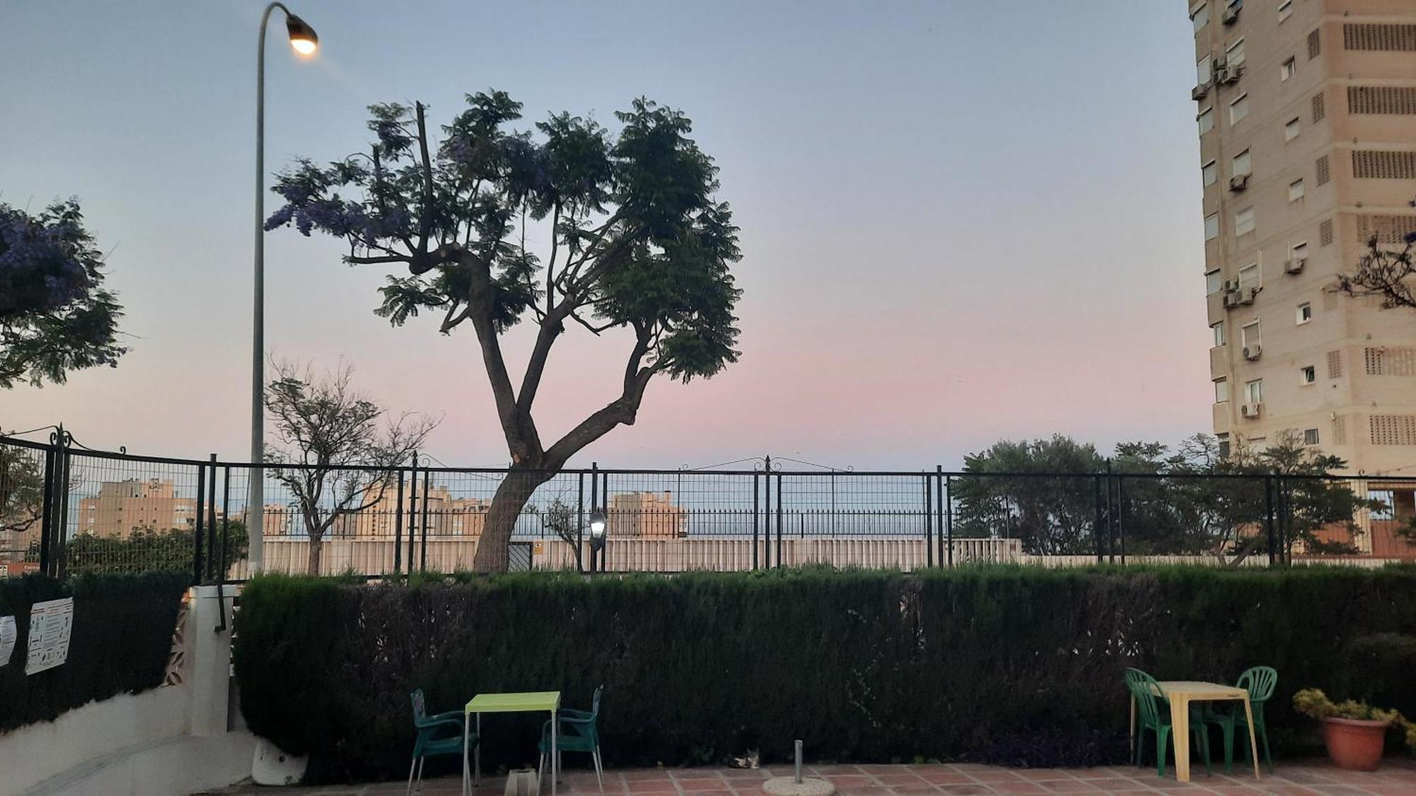 Feel At Home At Tamara Apartment - Two Steps To The Pool Τορρεμολίνος Εξωτερικό φωτογραφία